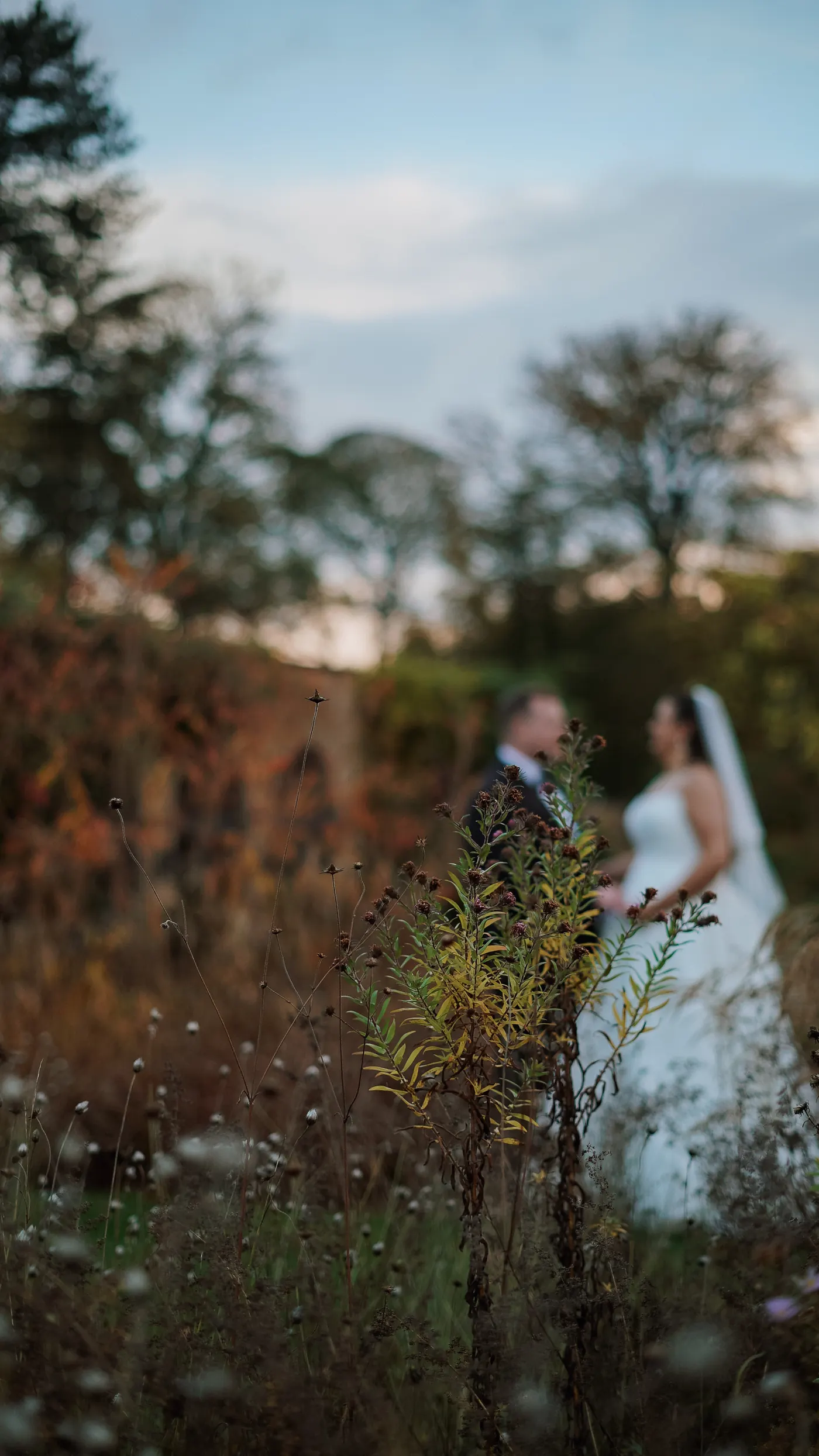 Highlight film still of a Thornbridge Estate wedding in Derbyshire